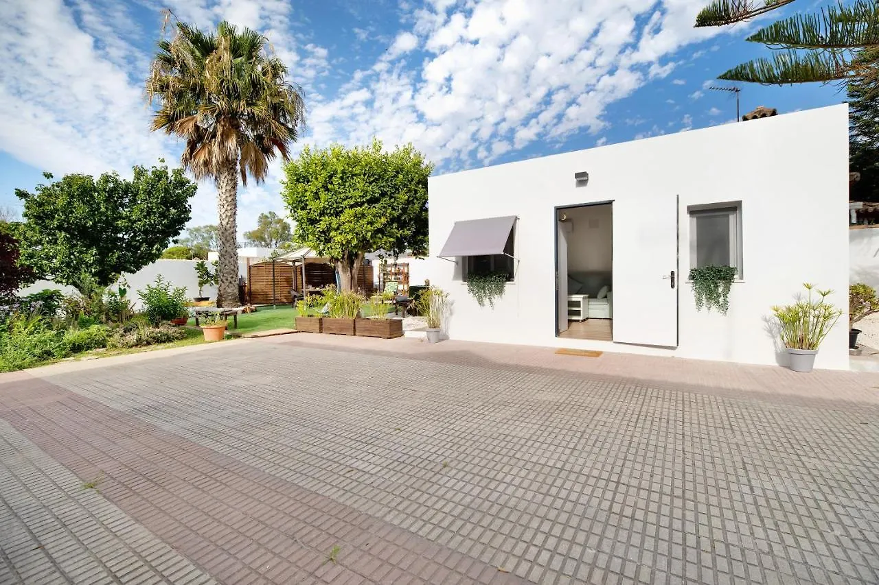 Estudio Limon Y Sal Chiclana de la Frontera Spagna